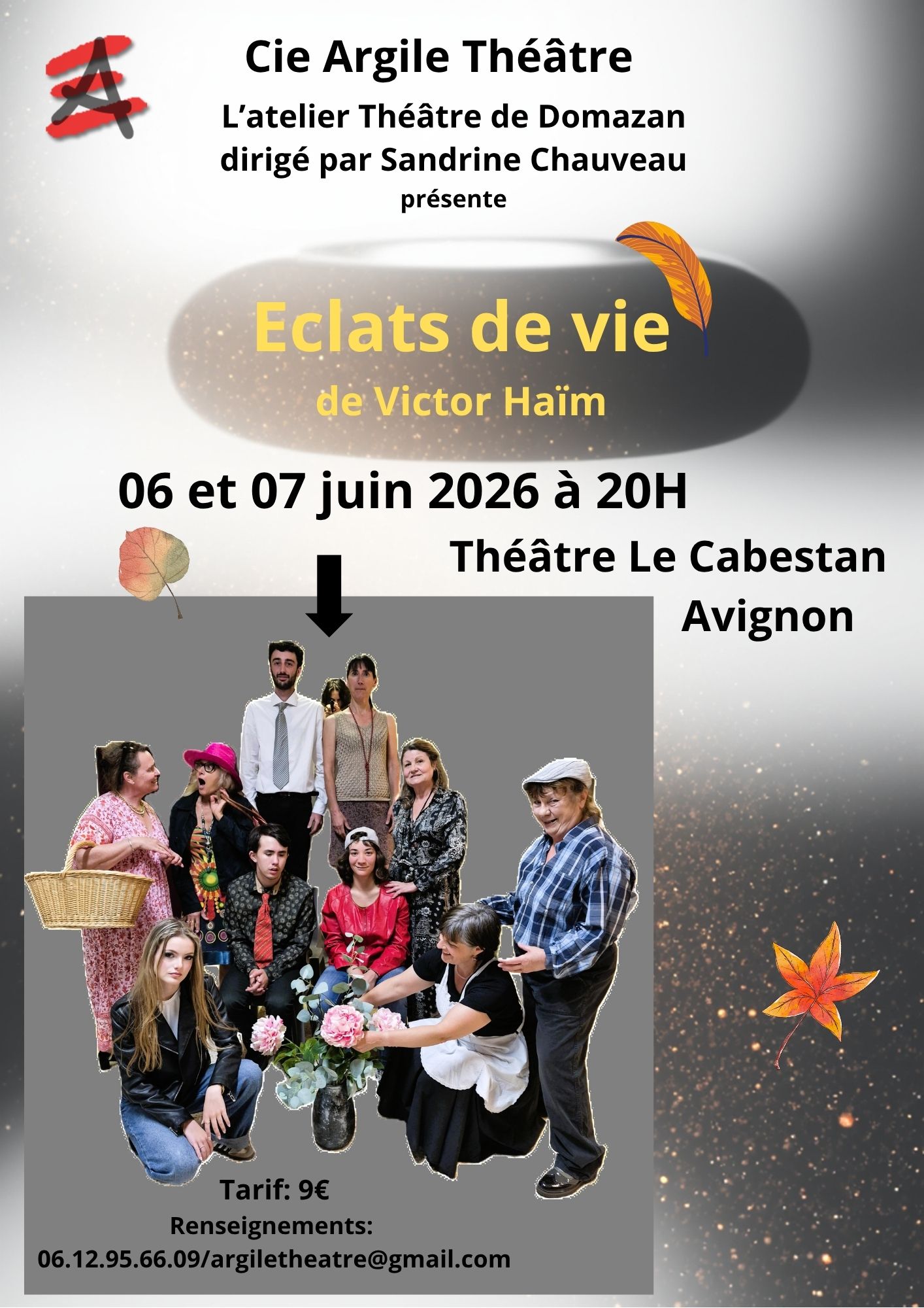 Affiche Eclats de vie